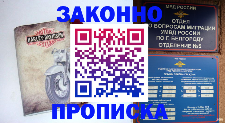 прописка для школы в Кызыле